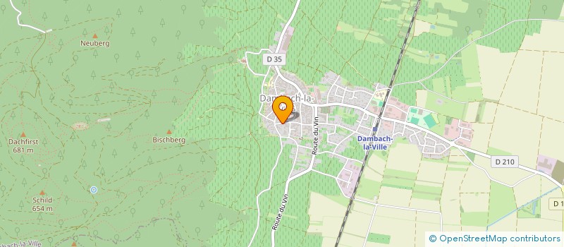 localisation de l'entreprise UNION SPORTIVE DE DAMBACH-LA-VILLE  DAMBACH LA VILLE