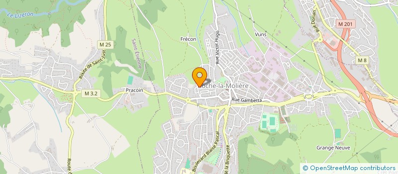 localisation de l'entreprise UNIS POUR NOTRE CITE  ROCHE-LA-MOLIERE