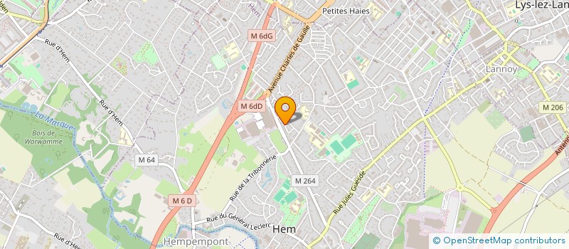 localisation de l'entreprise UNISONG à HEM