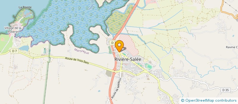 localisation de l'entreprise UP & SPACE MARTINIQUE  RIVIERE-SALEE