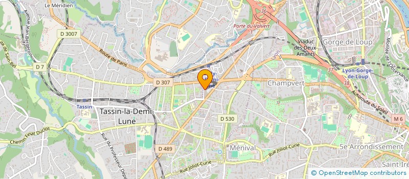 localisation de l'entreprise UPSWING MANAGEMENT FRANCE à TASSIN-LA-DEMI-LUNE