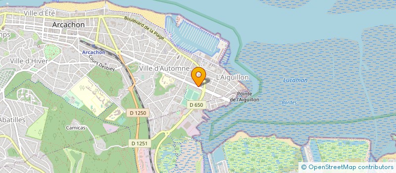 localisation de l'entreprise V BARRE ET D MARTIN  ARCACHON