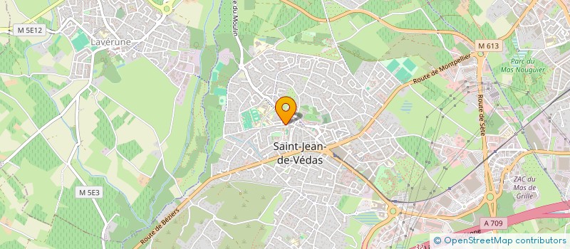 localisation de l'entreprise V'DANSES  SAINT-JEAN-DE-VEDAS