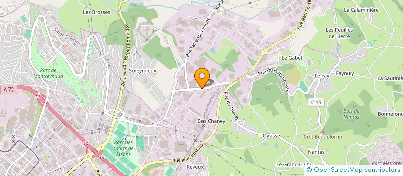 localisation de l'entreprise V F G ENTREPRISES à SAINT-ETIENNE