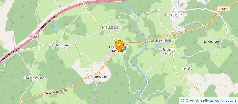 localisation de l'entreprise V&S IMMO  MAUSSAC