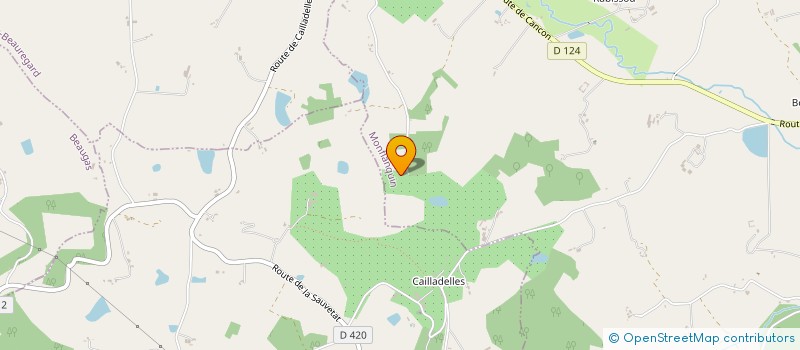 localisation de l'entreprise VACANCES ATTITUDE, RESIDENCE DU LAC  MONFLANQUIN