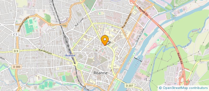 localisation de l'entreprise VAGNIER ERIC ET HERVE INDIVISION  ROANNE