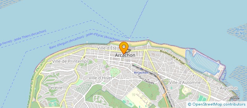 localisation de l'entreprise VAHINE TOA ARCACHON  ARCACHON