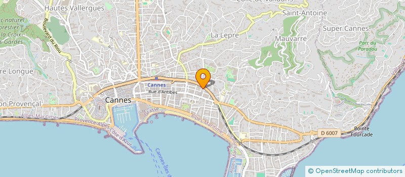 localisation de l'entreprise VALALEX  CANNES