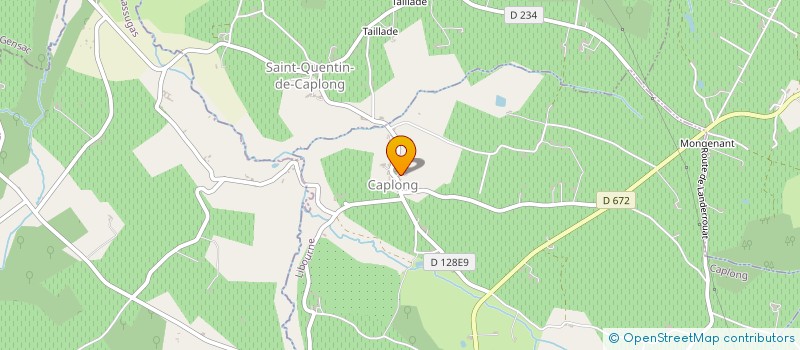 localisation de l'entreprise VALENT PASCAL SARL  CAPLONG