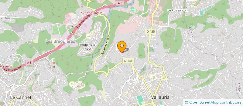 localisation de l'entreprise VALLAUDECO à VALLAURIS
