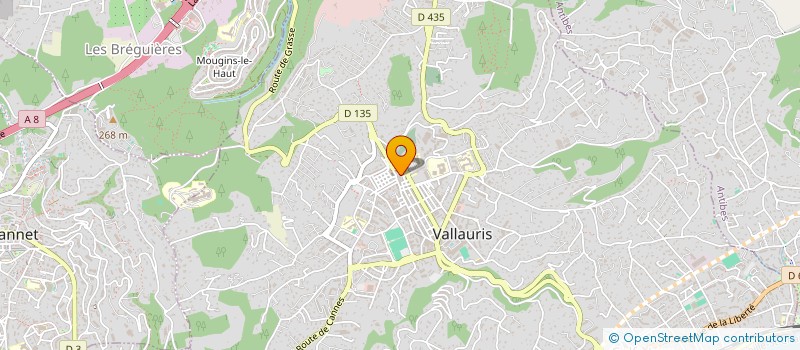 localisation de l'entreprise VALLAURIS ANTIC à VALLAURIS