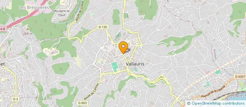 localisation de l'entreprise VALLAURIS DEVENIR à VALLAURIS