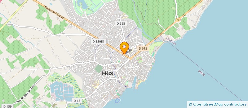localisation de l'entreprise VALLEE INFORMATIQUE INTERNET ET SON à MEZE