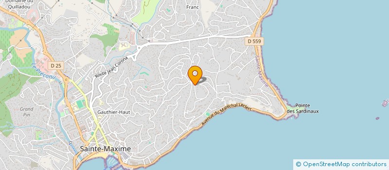 localisation de l'entreprise VALUDICE à SAINTE-MAXIME