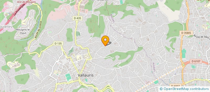 localisation de l'entreprise VALUSHIFT  VALLAURIS