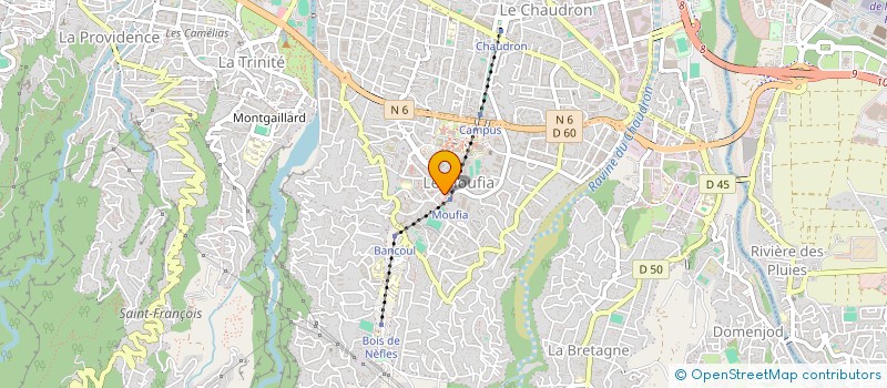 localisation de l'entreprise VAME DU BOSQUET à SAINT-DENIS