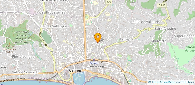 localisation de l'entreprise VANDELLI MASSON ET CIE à CANNES
