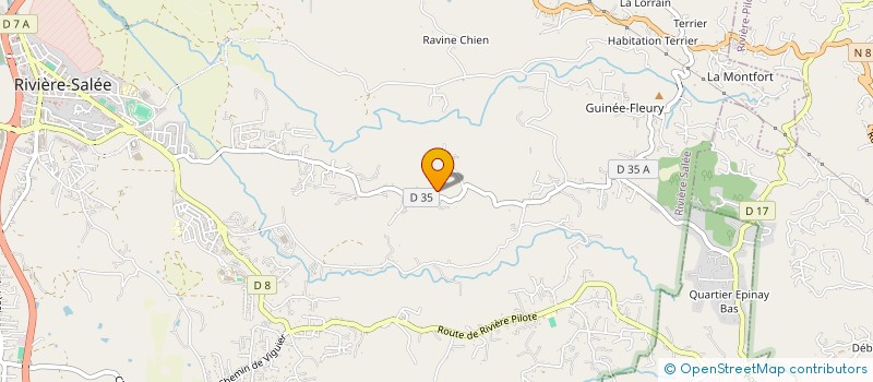 localisation de l'entreprise VANELY  RIVIERE-SALEE