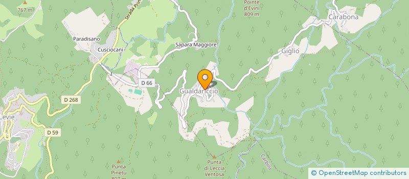 localisation de l'entreprise VARADICCIU VIU  SAN-GAVINO-DI-CARBINI