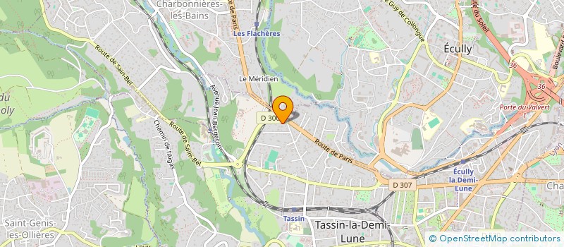 localisation de l'entreprise VDU REAL ESTATE  TASSIN-LA-DEMI-LUNE