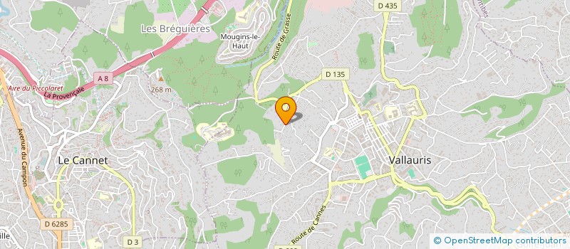 localisation de l'entreprise VE INVEST à VALLAURIS