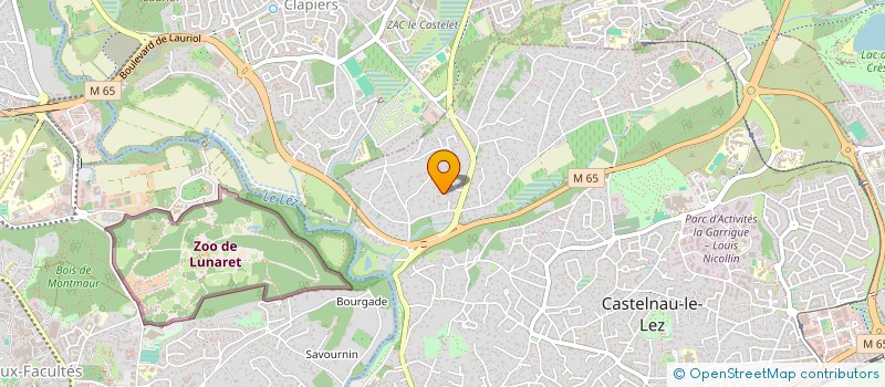 localisation de l'entreprise VECTORISIQ à CASTELNAU-LE-LEZ
