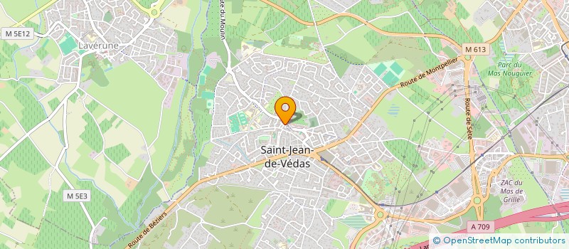 localisation de l'entreprise VEDAS MULTISERVICES à SAINT-JEAN-DE-VEDAS