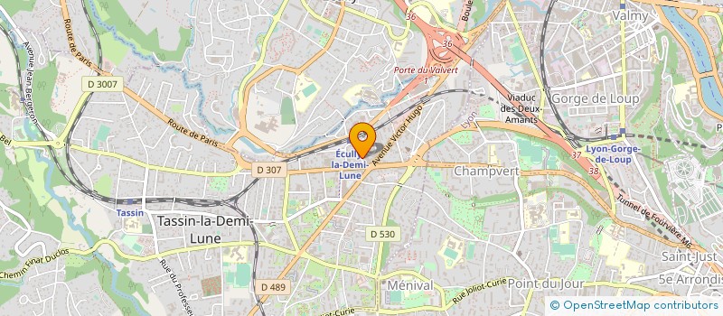 localisation de l'entreprise VEGALY CONFLUENCE à TASSIN-LA-DEMI-LUNE