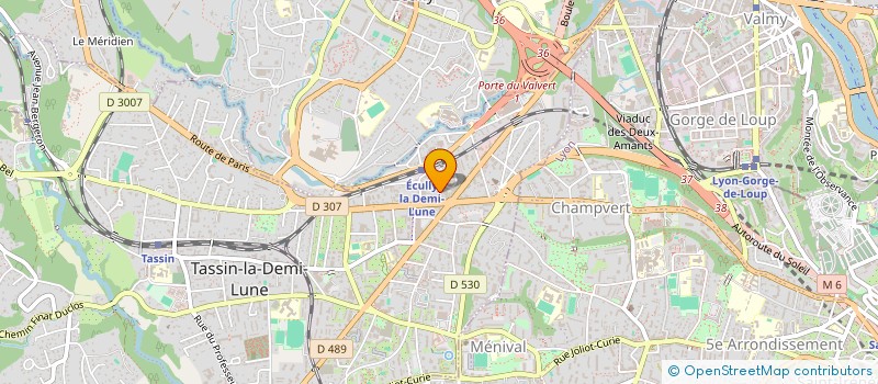 localisation de l'entreprise VEGALY LA SOIE  TASSIN-LA-DEMI-LUNE