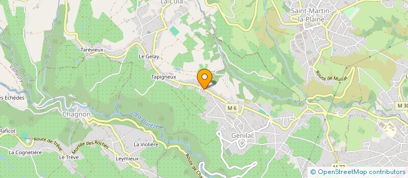 localisation de l'entreprise VEGLIA BROS IMMO  GENILAC