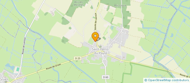 localisation de l'entreprise VENDEE GESTION SA à SAINT-DENIS-DU-PAYRE