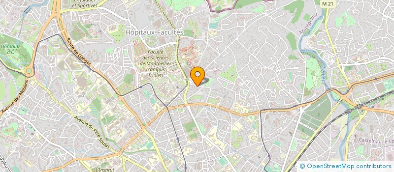 localisation de l'entreprise VENTE INVESTISSEMENT PROMOTION REALISAT à MONTPELLIER