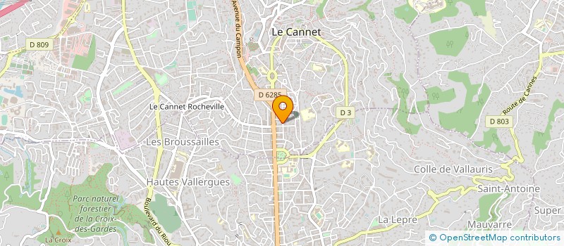 localisation de l'entreprise VENTES CONSEILS SERVICES SARL  LE CANNET