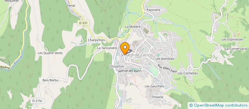 localisation de l'entreprise VERCORS FORET DEVELOPPEMENT  VILLARD-DE-LANS