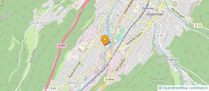 localisation de l'entreprise VERDET PAYSAGE à OYONNAX