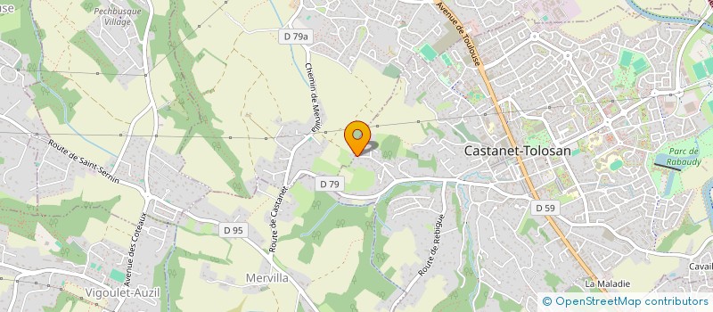 localisation de l'entreprise VERGERAS 9 à CASTANET-TOLOSAN