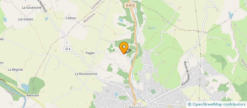 localisation de l'entreprise VERGNES à REALMONT