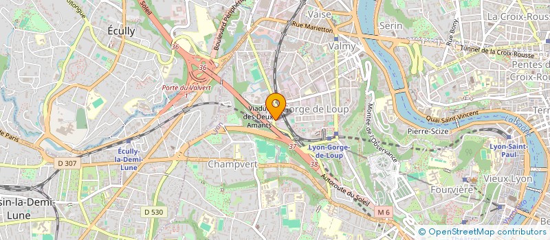 localisation de l'entreprise VERGOIN ET CIE à LYON