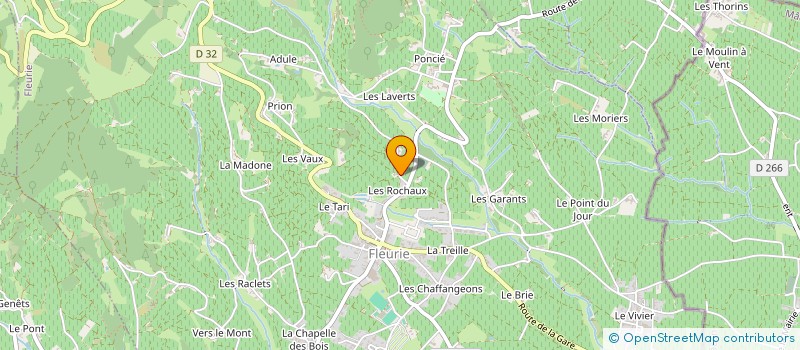 localisation de l'entreprise VERMOREL DIDIER ET AYMERIC  FLEURIE