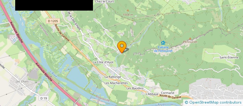 localisation de l'entreprise VERNAZ TRANSPORT DE GRUMES  FAUCIGNY