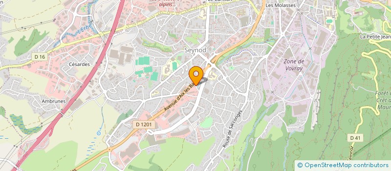 localisation de l'entreprise VERSION PRESTIGE à ANNECY
