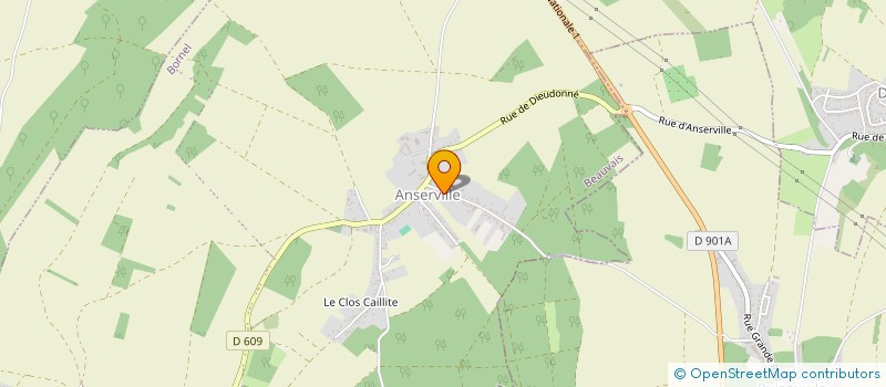 localisation de l'entreprise VERT BOIS D'ANSERVILLE  BORNEL