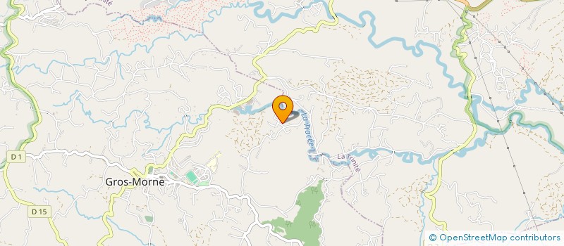 localisation de l'entreprise VERT FLAMBOYANT  GROS-MORNE