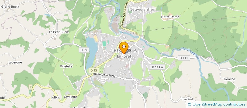 localisation de l'entreprise VERT...TIGE SAS à CHATEAUNEUF-LA-FORET