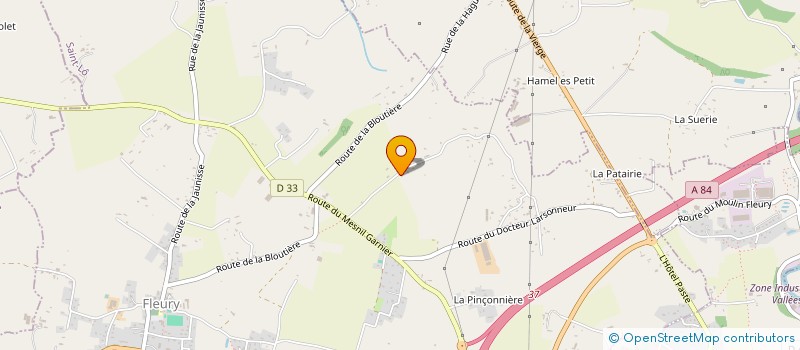 localisation de l'entreprise VERT UN BRIN DE NATURE'L  FLEURY