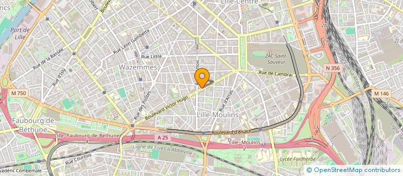 localisation de l'entreprise VERTE  LILLE