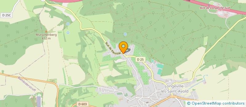 localisation de l'entreprise VESTIGES ET MYSTERES  LONGEVILLE-LES-SAINT-AVOLD