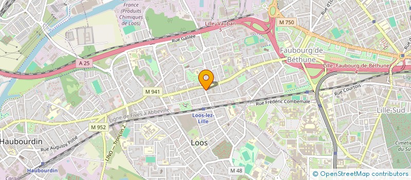 localisation de l'entreprise VET VISION FRANCE  LOOS