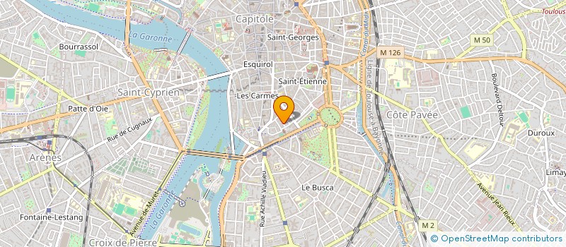 localisation de l'entreprise VETERINAIRES FELINS DE LA CARTOUCHERIE à TOULOUSE